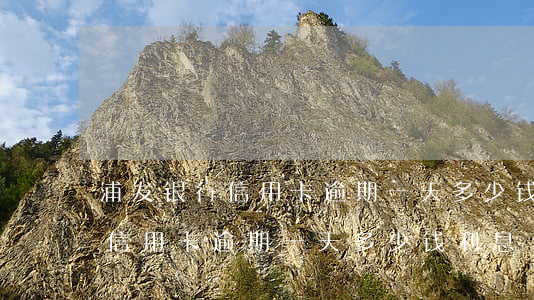 浦发银行信用卡逾期一天多少钱-浦发银行信用卡逾期一天多少钱利息