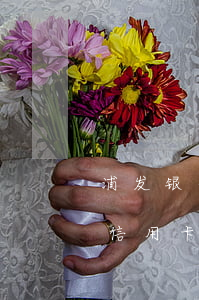 浦发银行信用卡逾期不还款后果-浦发银行信用卡逾期不还款后果是什么