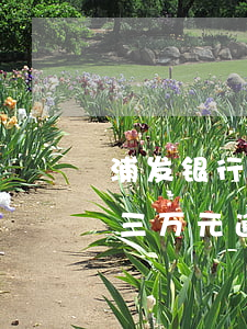 浦发银行信用卡逾期两万起诉(欠浦发信用卡三万元逾期几个月会被起诉呢)