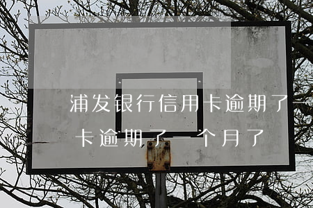 浦发银行信用卡逾期了一个月 浦发银行信用卡逾期了一个月了