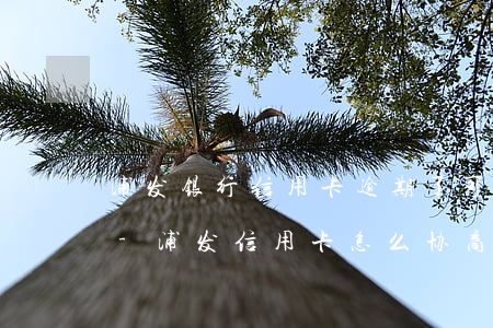 浦发银行信用卡逾期了可以协商分期还款吗-浦发信用卡怎么协商还款60期