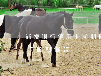 浦发银行信用卡逾期催款短信（浦发银行信用卡逾期催款）
