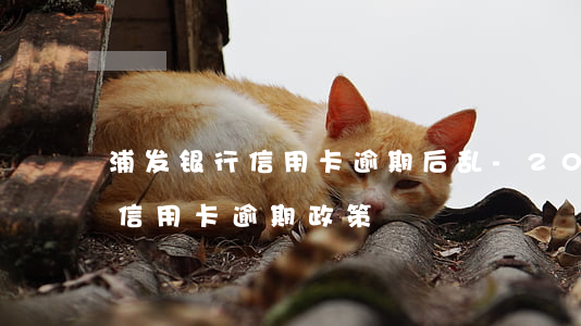 浦发银行信用卡逾期后乱-2020年浦发信用卡逾期政策