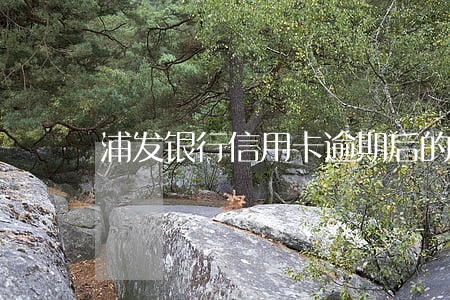 浦发银行信用卡逾期后的开卡方案