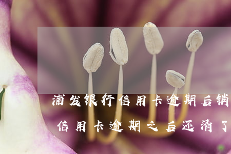 浦发银行信用卡逾期后销卡怎么办-浦发的信用卡逾期之后还清了,卡还能用吗