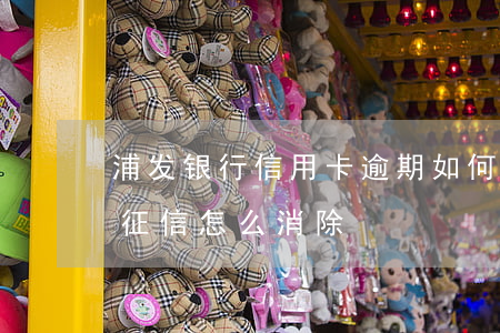 浦发银行信用卡逾期如何消除(银行卡逾期上征信怎么消除)