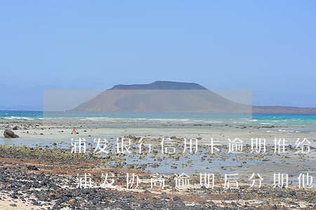 浦发银行信用卡逾期推给第三方怎么协商-浦发协商逾期后分期,他们己交第三方了,怎么协商