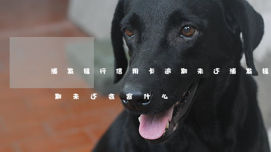 浦发银行信用卡逾期未还(浦发银行信用卡逾期未还会寄什么)