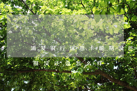 浦发银行信用卡逾期没还(浦发银行信用卡逾期没还会怎么样)