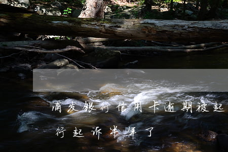 浦发银行信用卡逾期被起诉后还款-浦发银行起诉半年了