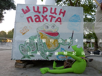 浦发银行信用卡逾期起诉怎么办理（浦发银行信用卡逾期起诉怎么办理）