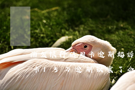 浦发银行信用卡逾期起诉案件多吗 浦发信用卡15万逾期报案了会怎样处罚