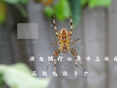 浦发银行协商停息挂账分期电话-浦发协商还款电话多少