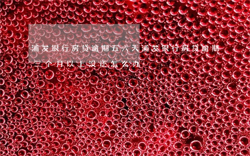 浦发银行房贷逾期五六天(浦发银行房贷逾期三个月以上没还怎么办)