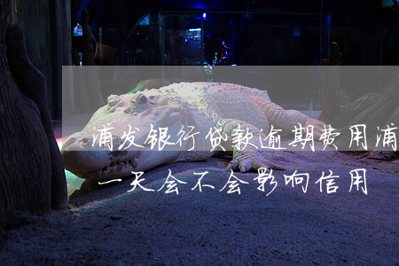 浦发银行贷款逾期费用(浦发银行贷款逾期了一天会不会影响信用)