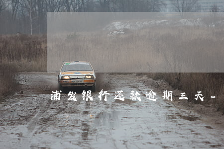 浦发银行还款逾期三天-浦发延期三天还款