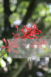 浦发银行逾期1万会不会直接起诉-浦发银行逾期1万会不会直接起诉我