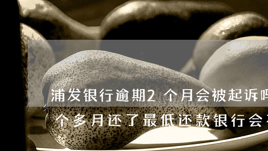 浦发银行逾期2个月会被起诉吗(浦发逾期3个多月,还了最低还款,银行会不会起诉)