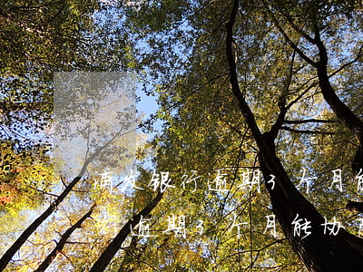 浦发银行逾期3个月能协商还款吗-浦发银行逾期3个月能协商还款吗