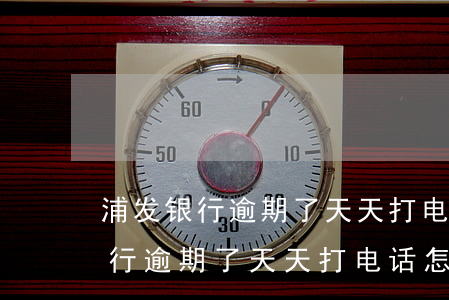 浦发银行逾期了天天打电话怎么办-浦发银行逾期了天天打电话怎么办呢