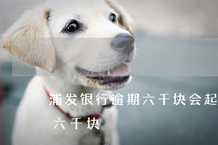浦发银行逾期六千块会起诉吗（浦发银行逾期六千块）