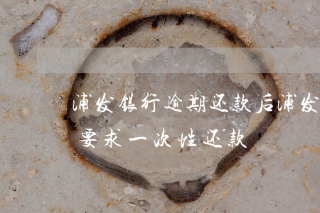 浦发银行逾期还款后(浦发银行逾期一个月被要求一次性还款)