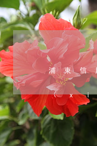 浦東信用卡協(xié)商(浦發(fā)協(xié)商還款不同意60期)