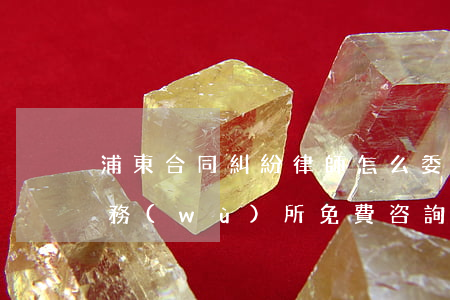 浦東合同糾紛律師怎么委托(上海浦東律師事務(wù)所免費咨詢)