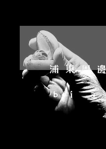 浦東周邊起訴離婚律師收費(fèi)標(biāo)準(zhǔn)(上海離婚律師咨詢費(fèi)用收取標(biāo)準(zhǔn))