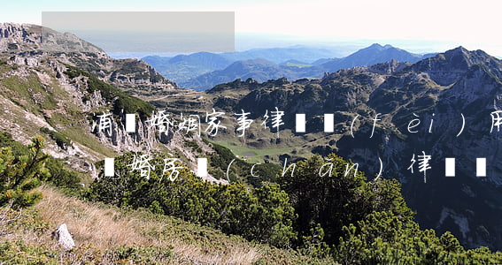 浦東婚姻家事律師費(fèi)用多少(上海離婚房產(chǎn)律師費(fèi))