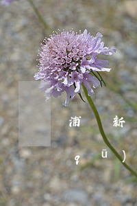 浦東新區(qū)公共法律中心(浦東新區(qū)司法局地址)