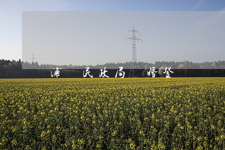 浦東民政局離婚登記處