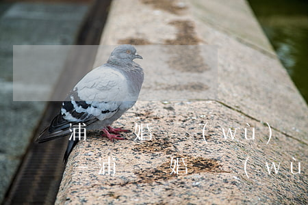 浦東離婚債務(wù)糾紛律師大概多少錢-浦東離婚債務(wù)糾紛律師大概多少錢啊