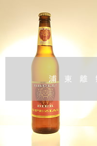 浦東離婚律師(浦東離婚律師咨詢電話)