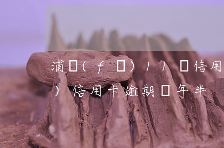 浦發(fā)11萬信用卡逾期(浦發(fā)信用卡逾期兩年半)