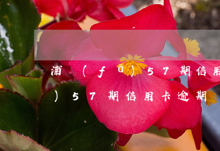 浦發(fā)57期信用卡逾期(浦發(fā)57期信用卡逾期)