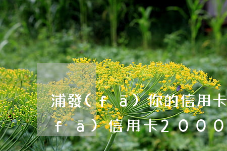 浦發(fā)你的信用卡已嚴重逾期(浦發(fā)信用卡2000逾期兩年)