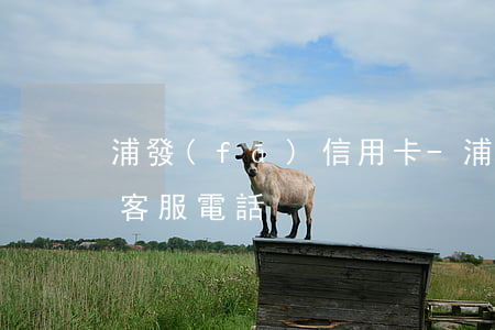浦發(fā)信用卡-浦發(fā)信用卡客服電話