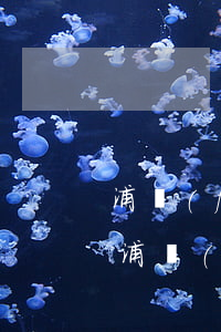 浦發(fā)信用卡10000逾期上門-浦發(fā)信用卡10000逾期上門是真的嗎