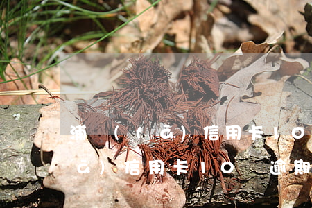 浦發(fā)信用卡10萬逾期了(浦發(fā)信用卡10萬逾期了)