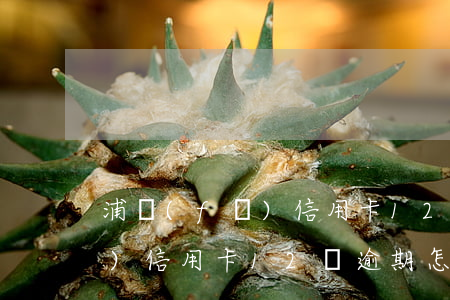 浦發(fā)信用卡12萬逾期(浦發(fā)信用卡12萬逾期怎么辦)
