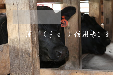 浦發(fā)信用卡13萬逾期5天