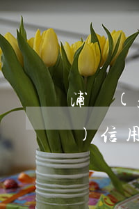 浦發(fā)信用卡14萬逾期(浦發(fā)信用卡14萬逾期3個月突然催收停)