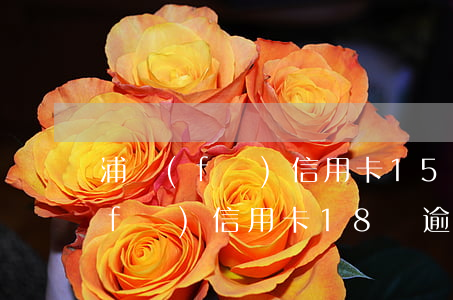 浦發(fā)信用卡15萬逾期一年(浦發(fā)信用卡18萬逾期1年)