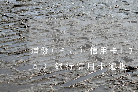 浦發(fā)信用卡1700逾期(浦發(fā)銀行信用卡逾期一萬多會被起訴嗎)