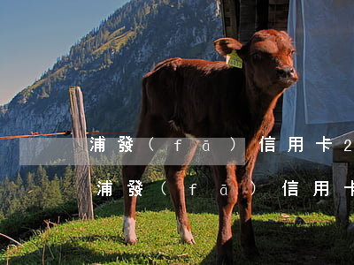 浦發(fā)信用卡20000逾期三月-浦發(fā)信用卡20000逾期三月利息多少