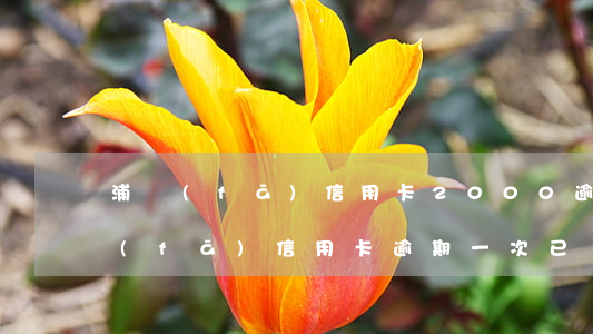 浦發(fā)信用卡2000逾期兩年（浦發(fā)信用卡逾期一次已報告央行）