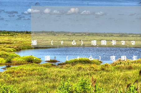浦發(fā)信用卡2200逾期一年多了-浦發(fā)信用卡2200逾期一年多了會(huì)怎樣