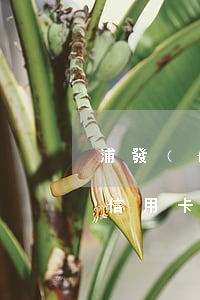 浦發(fā)信用卡2次逾期 浦發(fā)信用卡2次逾期