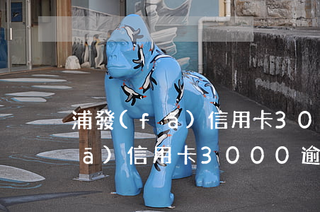 浦發(fā)信用卡3000逾期(浦發(fā)信用卡3000逾期嗎)